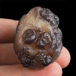 CHALCEDON - 43 mm - MAROKO