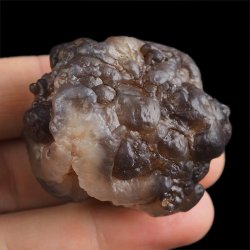CHALCEDON - 43 mm - MAROKO
