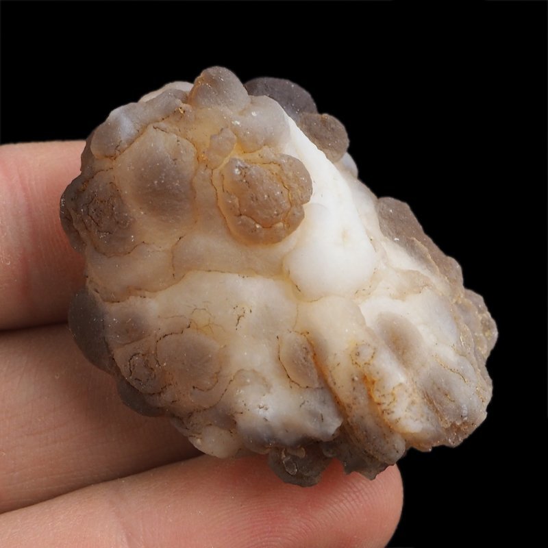 CHALCEDON - 42 mm - MAROKO