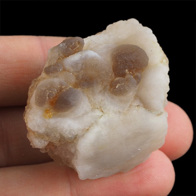 CHALCEDON - 43 mm - MAROKO