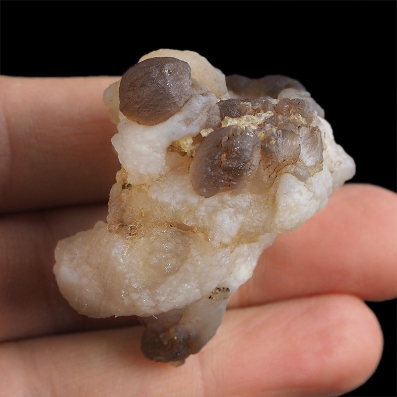 CHALCEDON - 43 mm - MAROKO