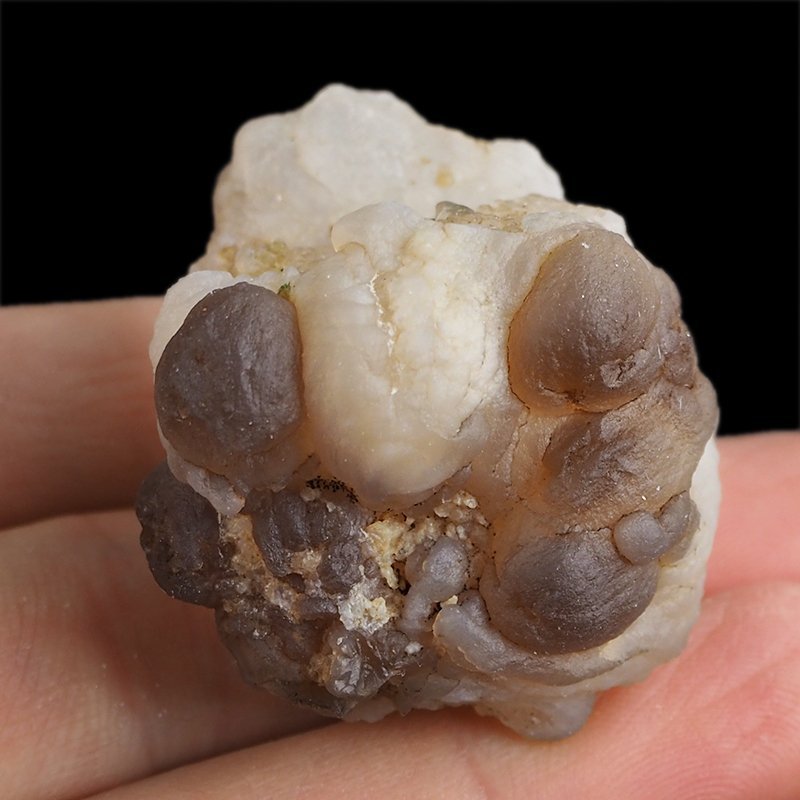 CHALCEDON - 43 mm - MAROKO