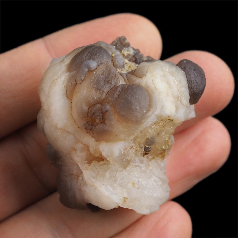 CHALCEDON - 43 mm - MAROKO