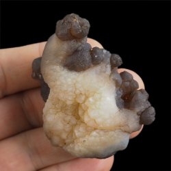 CHALCEDON - 58 mm - MAROKO