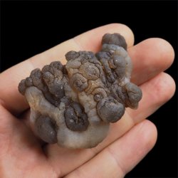 CHALCEDON - 58 mm - MAROKO