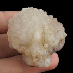 CHALCEDON - 41 mm - MAROKO