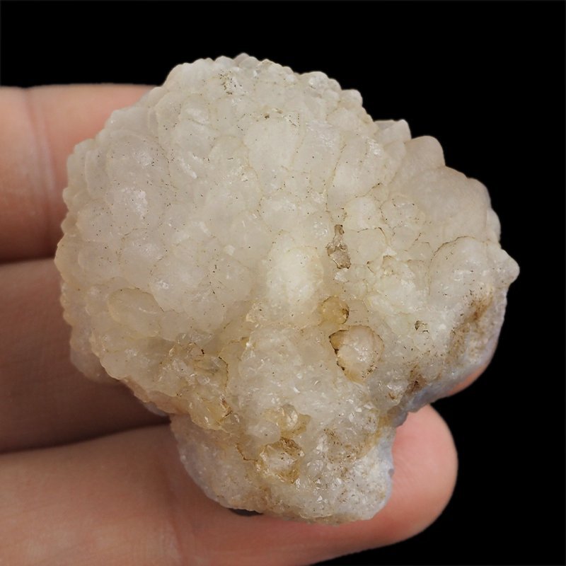 CHALCEDON - 41 mm - MAROKO