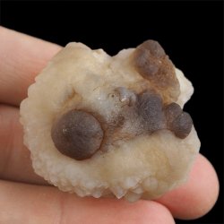 CHALCEDON - 41 mm - MAROKO