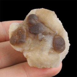 CHALCEDON - 41 mm - MAROKO