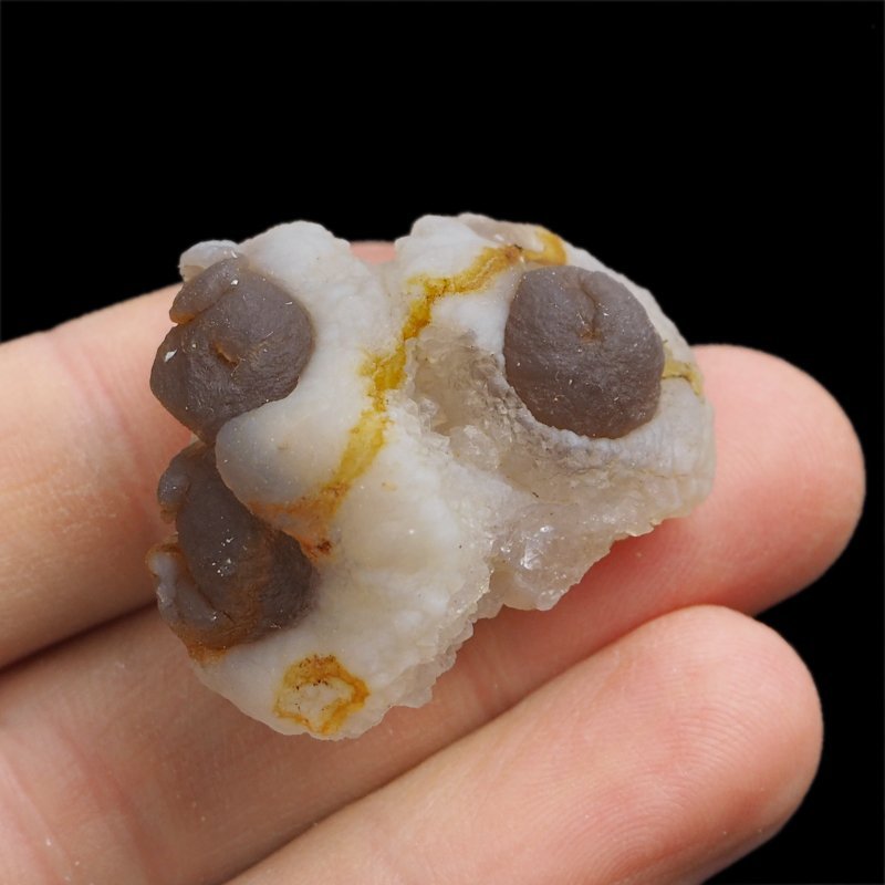 CHALCEDON - 36 mm - MAROKO