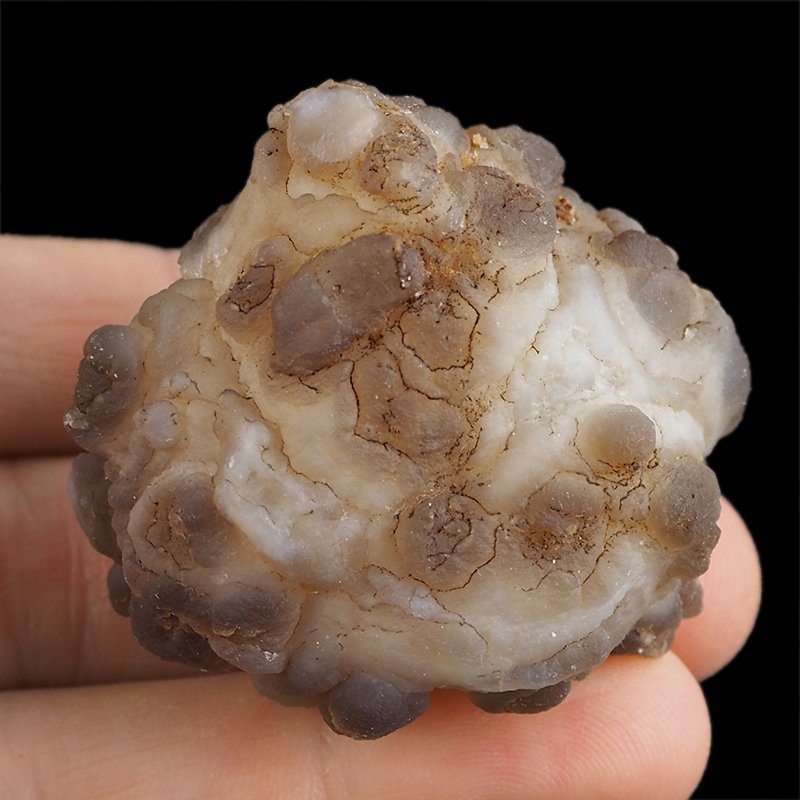 CHALCEDON - 47 mm - MAROKO