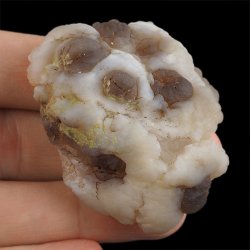 CHALCEDON - 54 mm - MAROKO