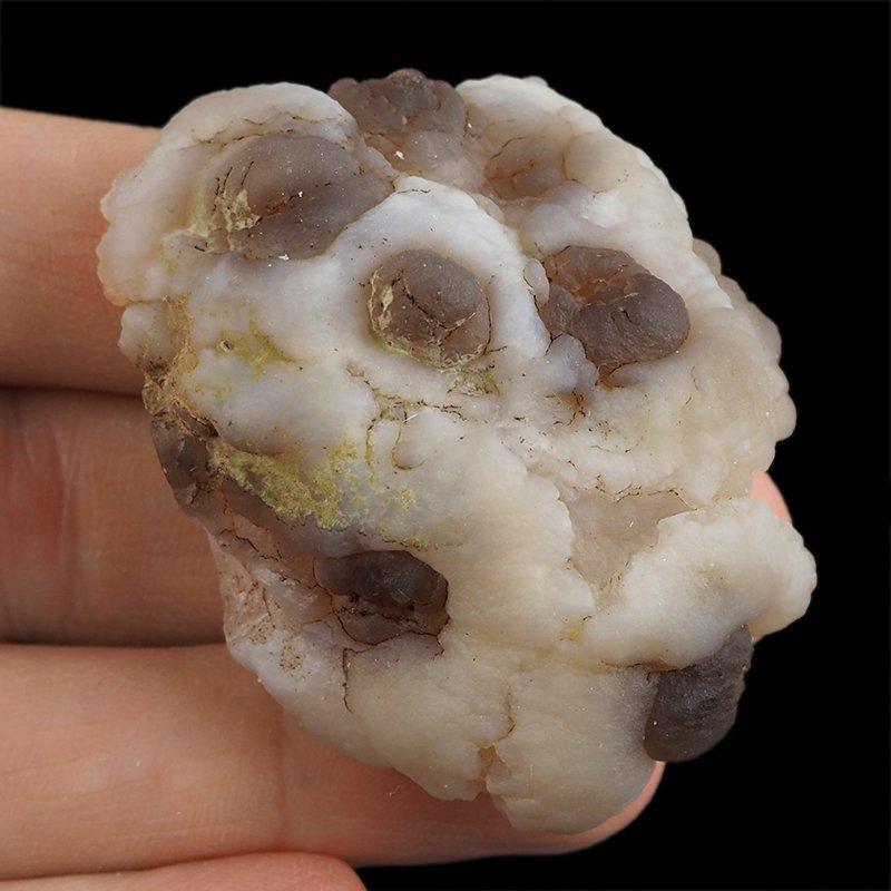 CHALCEDON - 54 mm - MAROKO