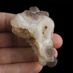 CHALCEDON - 61 mm - MAROKO
