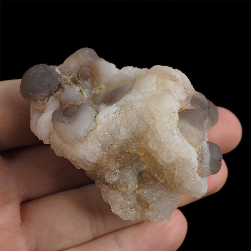 CHALCEDON - 61 mm - MAROKO