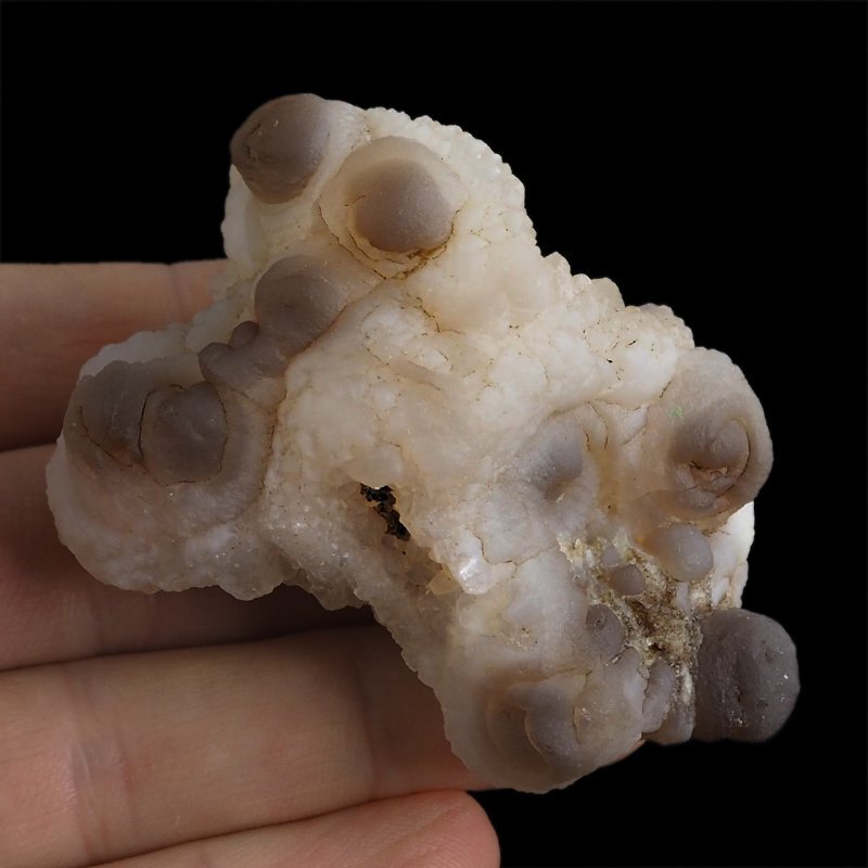 CHALCEDON - 61 mm - MAROKO