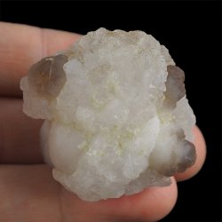 CHALCEDON - 42 mm - MAROKO