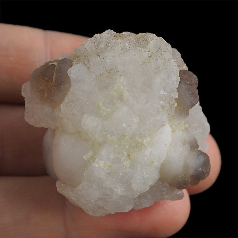 CHALCEDON - 42 mm - MAROKO
