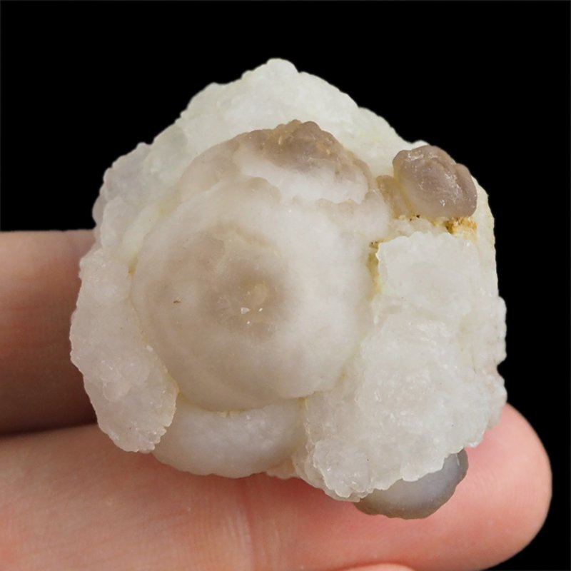 CHALCEDON - 42 mm - MAROKO