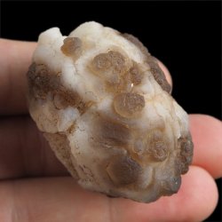 CHALCEDON - 47 mm - MAROKO