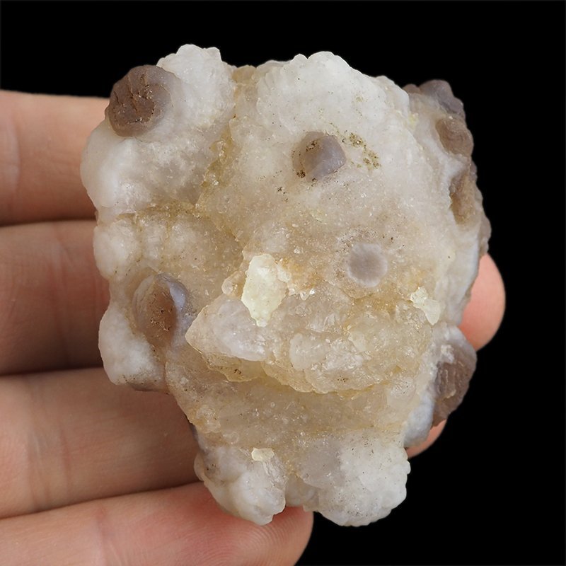 CHALCEDON - 56 mm - MAROKO