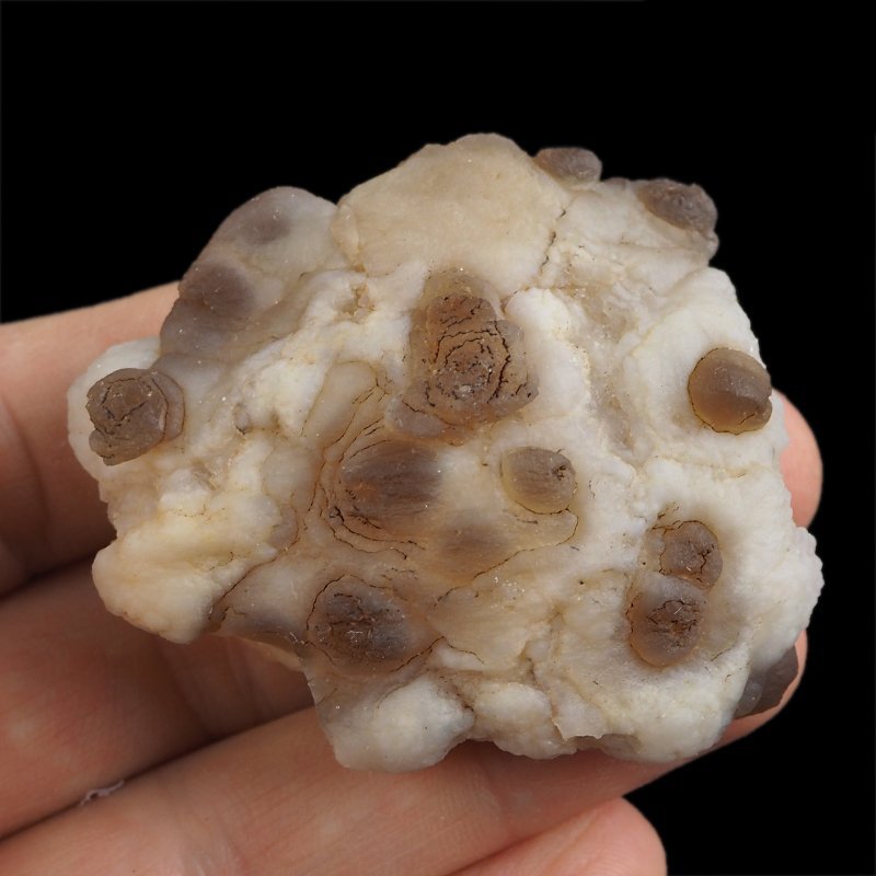 CHALCEDON - 56 mm - MAROKO