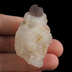 CHALCEDON - 51 mm - MAROKO