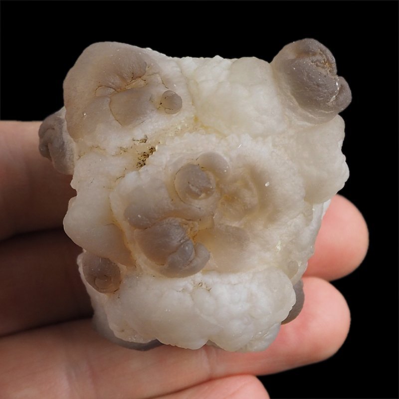 CHALCEDON - 58 mm - MAROKO