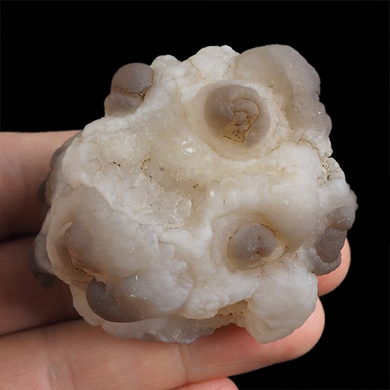CHALCEDON - 58 mm - MAROKO