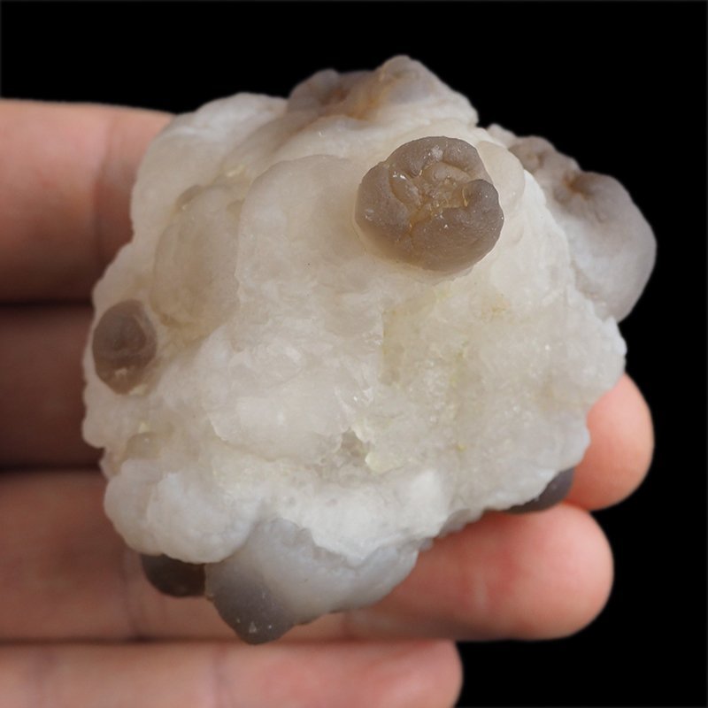 CHALCEDON - 58 mm - MAROKO