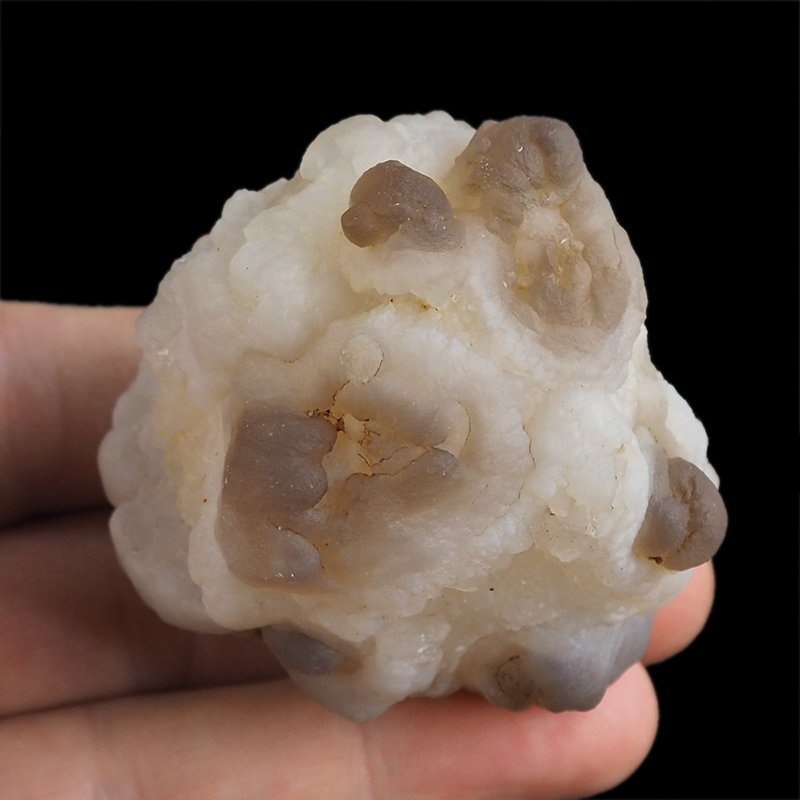 CHALCEDON - 58 mm - MAROKO