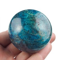 APATYT NIEBIESKI - KULA - 55 mm - MADAGASKAR