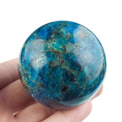 APATYT NIEBIESKI - KULA - 55 mm - MADAGASKAR