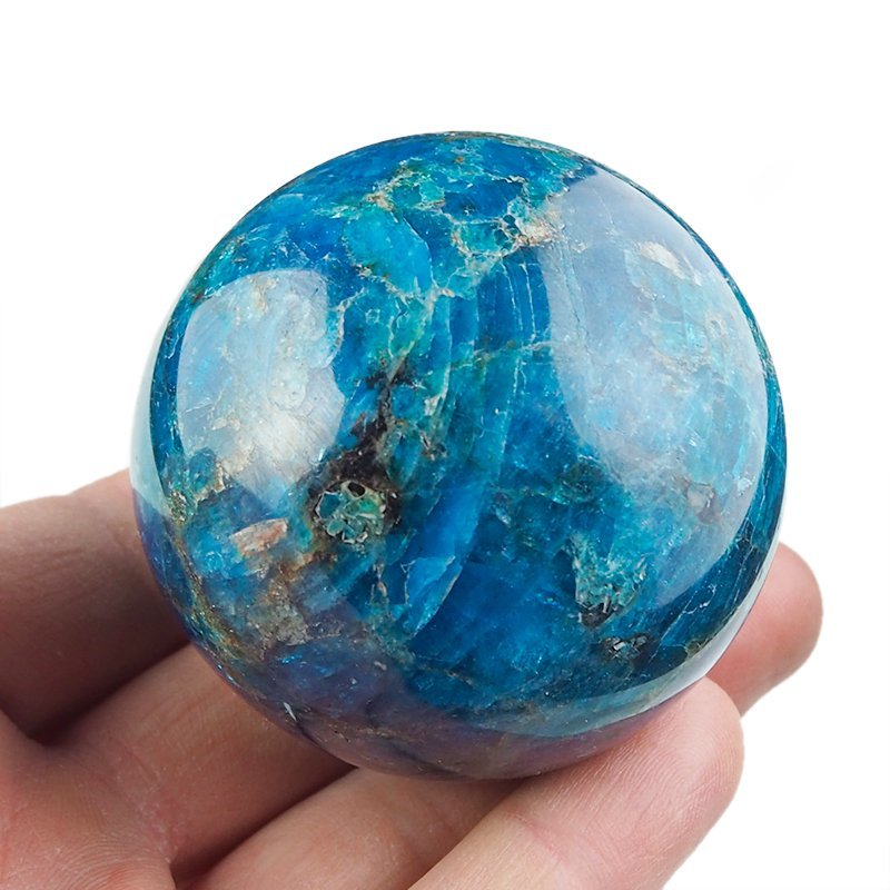 APATYT NIEBIESKI - KULA - 54 mm - MADAGASKAR