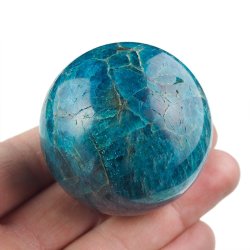APATYT NIEBIESKI - KULA - 48 mm - MADAGASKAR