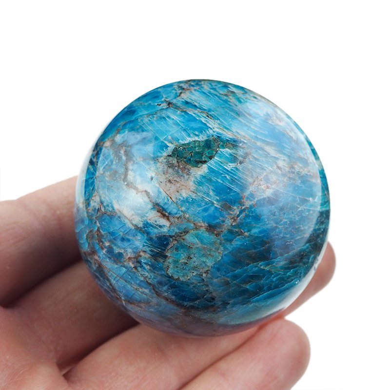 APATYT NIEBIESKI - KULA - 51 mm - MADAGASKAR