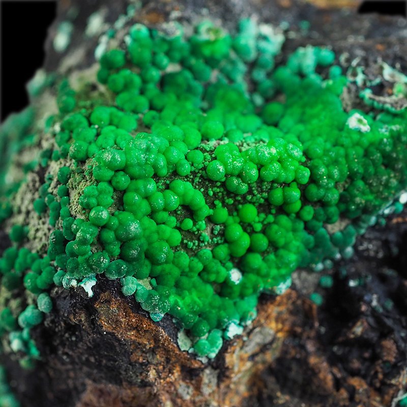 KONICHALCYT - 29 mm - HISZPANIA