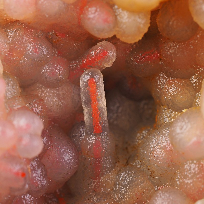 REALGAR, AURYPIGMENT, CHALCEDON - 81 mm - INDONEZJA