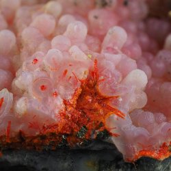 REALGAR, AURYPIGMENT, CHALCEDON - 97 mm - INDONEZJA