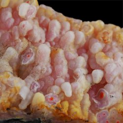 REALGAR, AURYPIGMENT, CHALCEDON - 98 mm - INDONEZJA