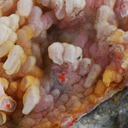 REALGAR, AURYPIGMENT, CHALCEDON - 98 mm - INDONEZJA