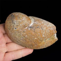 AGAT - 111 mm - BRAZYLIA