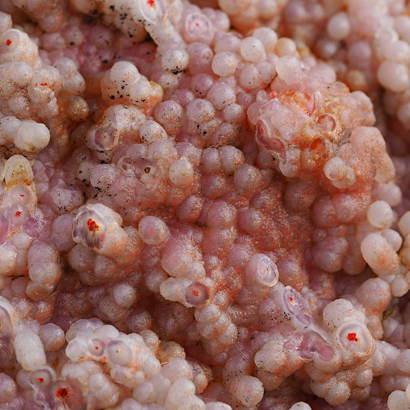 REALGAR, AURYPIGMENT, CHALCEDON - 128 mm - INDONEZJA