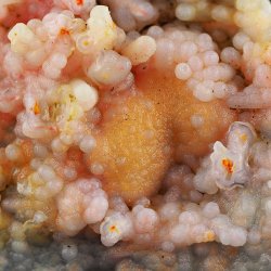 REALGAR, AURYPIGMENT, CHALCEDON - 94 mm - INDONEZJA