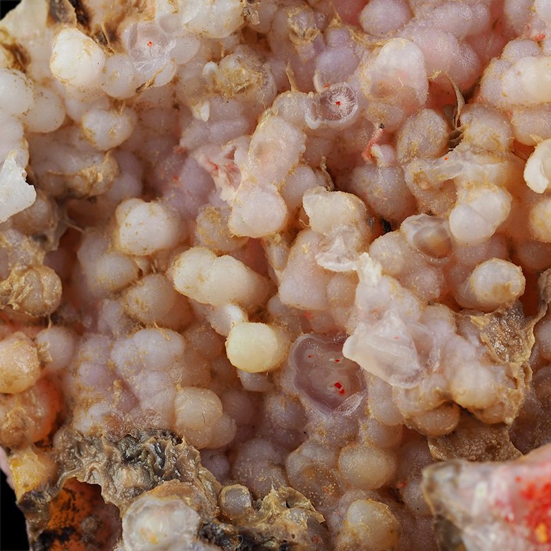 REALGAR, AURYPIGMENT, CHALCEDON - 142 mm - INDONEZJA