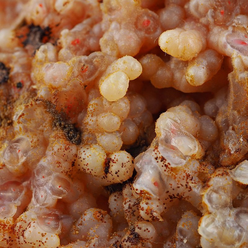 REALGAR, AURYPIGMENT, CHALCEDON - 142 mm - INDONEZJA