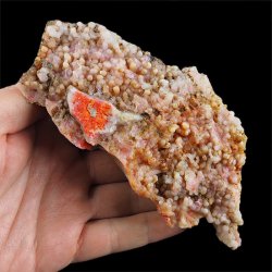 REALGAR, AURYPIGMENT, CHALCEDON - 142 mm - INDONEZJA