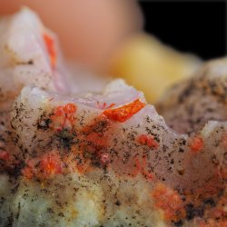 REALGAR, AURYPIGMENT, CHALCEDON - 71 mm - INDONEZJA