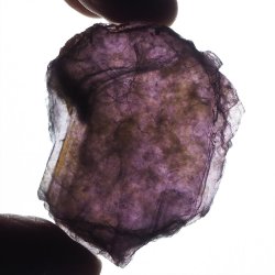 LEPIDOLIT - 62 mm -  BRAZYLIA