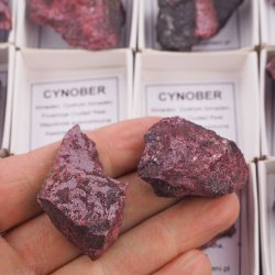 CYNOBER 25-55 mm - HISZPANIA - W PUDEŁKU Z OPISEM
